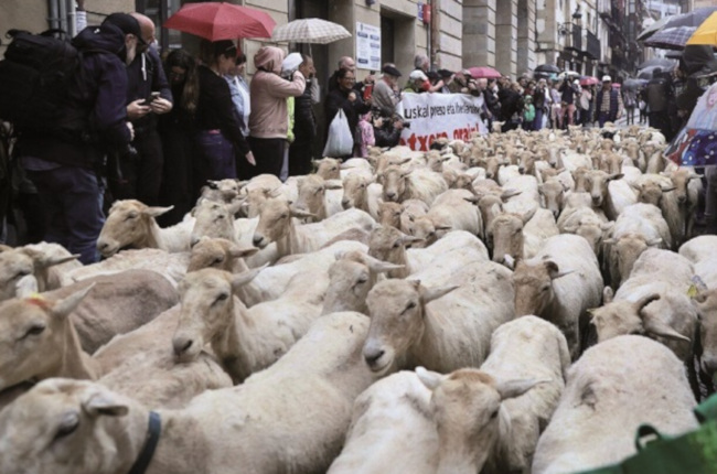 Idiazabal Jatorrizko Deiturako gaztaren ekoizpena % 2 jaitsi da 2023an