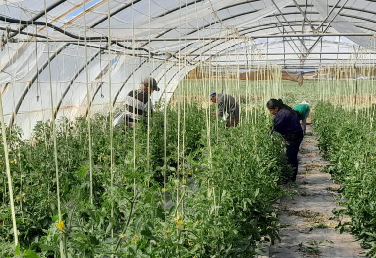 eHNE firma las tablas del año 2025 del convenio agropecaurio de navarra